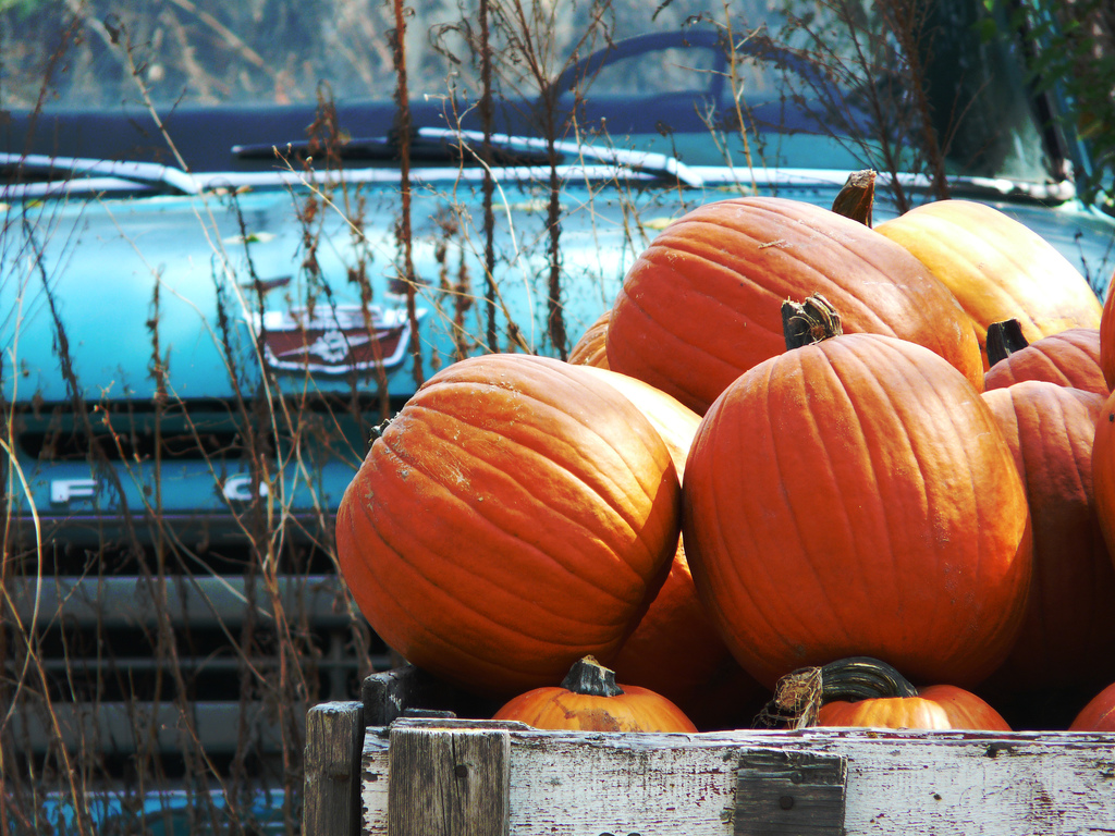 Pumpkins