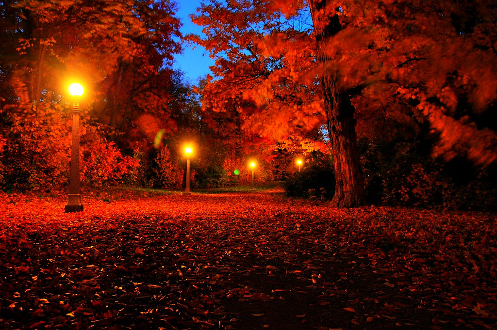 Autumnnight onlyfans