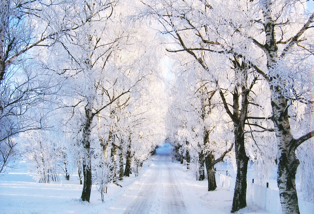 Winter Pathway December